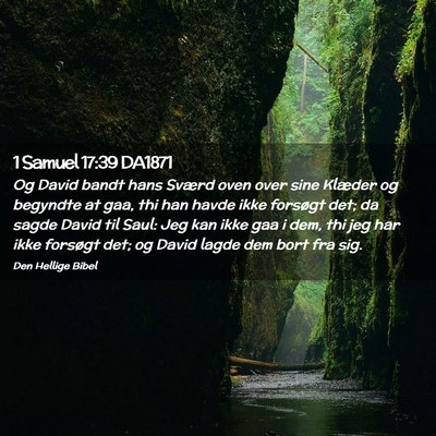 Picture 02 - 1 Samuel 17:39 DA1871 - Og David bandt hans Sværd oven over sine Klæder - Bible Verse Picture