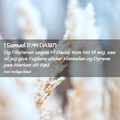 Picture 02 - 1 Samuel 17:44 DA1871 - Og Filisteren sagde til David: Kom hid til mig, - Bible Verse Picture