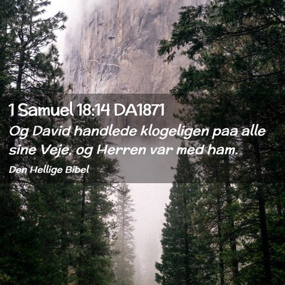 Picture 02 - 1 Samuel 18:14 DA1871 - Og David handlede klogeligen paa alle sine Veje, - Bible Verse Picture