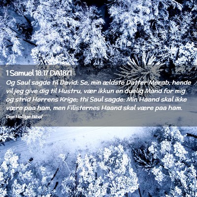 Picture 02 - 1 Samuel 18:17 DA1871 - Og Saul sagde til David: Se, min ældste Datter - Bible Verse Picture