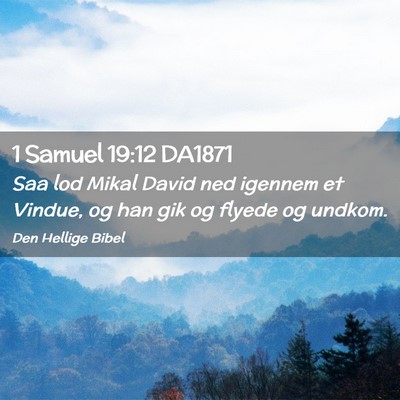 Picture 02 - 1 Samuel 19:12 DA1871 - Saa lod Mikal David ned igennem et Vindue, og han - Bible Verse Picture