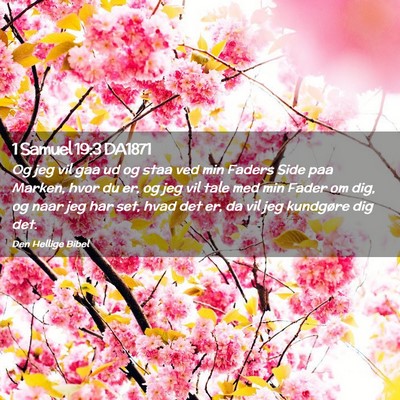 Picture 02 - 1 Samuel 19:3 DA1871 - Og jeg vil gaa ud og staa ved min Faders Side paa - Bible Verse Picture