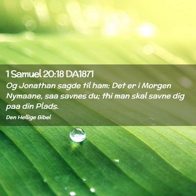 Picture 02 - 1 Samuel 20:18 DA1871 - Og Jonathan sagde til ham: Det er i Morgen - Bible Verse Picture