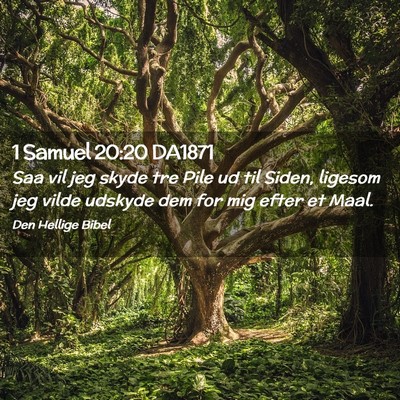 Picture 02 - 1 Samuel 20:20 DA1871 - Saa vil jeg skyde tre Pile ud til Siden, ligesom - Bible Verse Picture