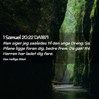 Picture 02 - 1 Samuel 20:22 DA1871 - Men siger jeg saaledes til den unge Dreng: Se, - Bible Verse Picture