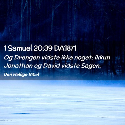Picture 02 - 1 Samuel 20:39 DA1871 - Og Drengen vidste ikke noget; ikkun Jonathan og - Bible Verse Picture