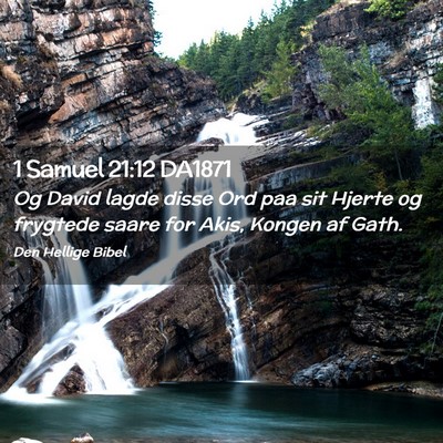 Picture 02 - 1 Samuel 21:12 DA1871 - Og David lagde disse Ord paa sit Hjerte og - Bible Verse Picture