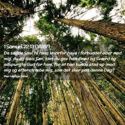 Picture 02 - 1 Samuel 22:13 DA1871 - Da sagde Saul til ham: Hvorfor have I forbundet - Bible Verse Picture