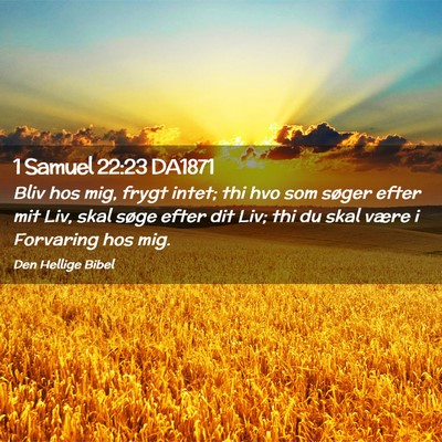 Picture 02 - 1 Samuel 22:23 DA1871 - Bliv hos mig, frygt intet; thi hvo som søger - Bible Verse Picture