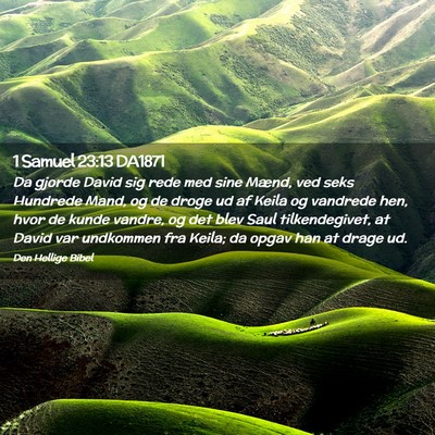 Picture 02 - 1 Samuel 23:13 DA1871 - Da gjorde David sig rede med sine Mænd, ved seks - Bible Verse Picture