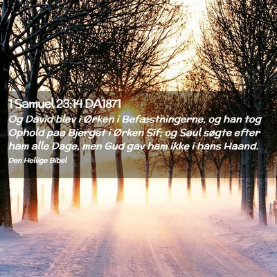 Picture 02 - 1 Samuel 23:14 DA1871 - Og David blev i Ørken i Befæstningerne, og han - Bible Verse Picture