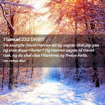 Picture 02 - 1 Samuel 23:2 DA1871 - Da spurgte David Herren ad og sagde: Skal jeg gaa - Bible Verse Picture