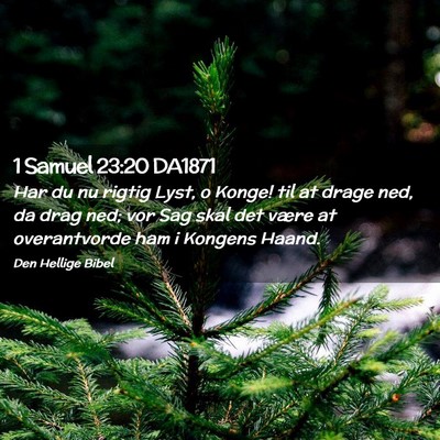 Picture 02 - 1 Samuel 23:20 DA1871 - Har du nu rigtig Lyst, o Konge! til at drage ned, - Bible Verse Picture