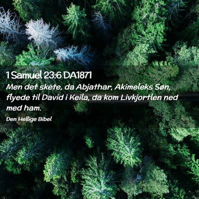 Picture 02 - 1 Samuel 23:6 DA1871 - Men det skete, da Abjathar, Akimeleks Søn, - Bible Verse Picture