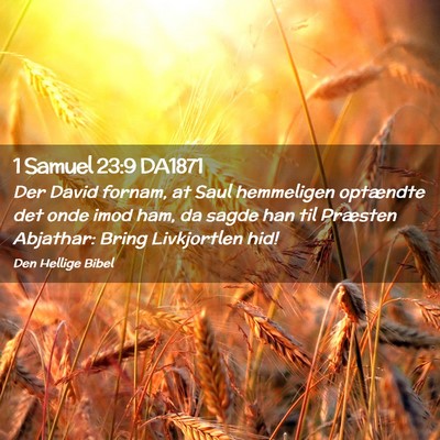 Picture 02 - 1 Samuel 23:9 DA1871 - Der David fornam, at Saul hemmeligen optændte - Bible Verse Picture
