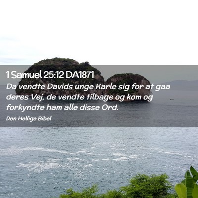 Picture 02 - 1 Samuel 25:12 DA1871 - Da vendte Davids unge Karle sig for at gaa deres - Bible Verse Picture