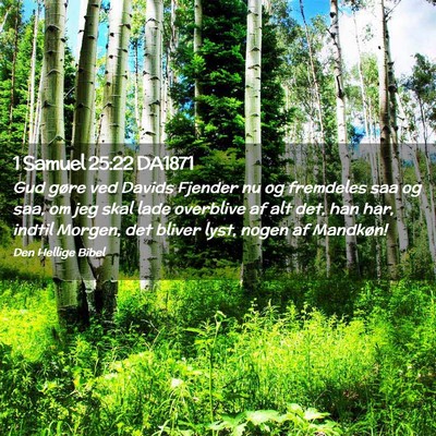 Picture 02 - 1 Samuel 25:22 DA1871 - Gud gøre ved Davids Fjender nu og fremdeles saa - Bible Verse Picture