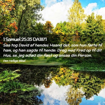 Picture 02 - 1 Samuel 25:35 DA1871 - Saa tog David af hendes Haand det, som hun førte - Bible Verse Picture