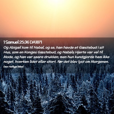 Picture 02 - 1 Samuel 25:36 DA1871 - Og Abigail kom til Nabal, og se, han havde et - Bible Verse Picture