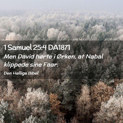 Picture 02 - 1 Samuel 25:4 DA1871 - Men David hørte i Ørken, at Nabal klippede sine - Bible Verse Picture
