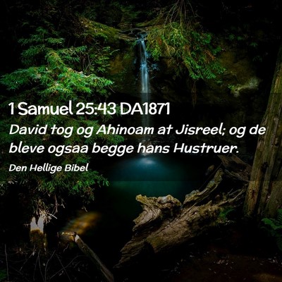 Picture 02 - 1 Samuel 25:43 DA1871 - David tog og Ahinoam at Jisreel; og de bleve - Bible Verse Picture