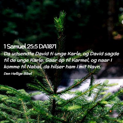 Picture 02 - 1 Samuel 25:5 DA1871 - Da udsendte David ti unge Karle, og David sagde - Bible Verse Picture