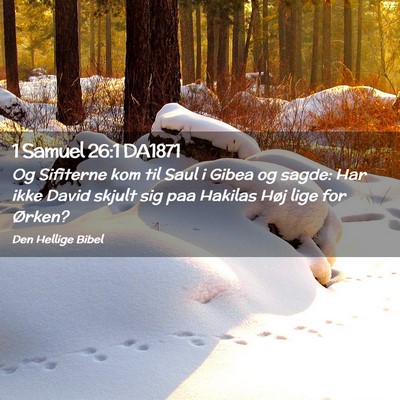 Picture 02 - 1 Samuel 26:1 DA1871 - Og Sifiterne kom til Saul i Gibea og sagde: Har - Bible Verse Picture