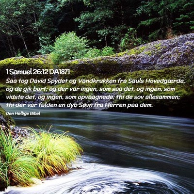 Picture 02 - 1 Samuel 26:12 DA1871 - Saa tog David Spydet og Vandkrukken fra Sauls - Bible Verse Picture
