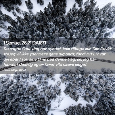 Picture 02 - 1 Samuel 26:21 DA1871 - Da sagde Saul: Jeg har syndet, kom tilbage min - Bible Verse Picture