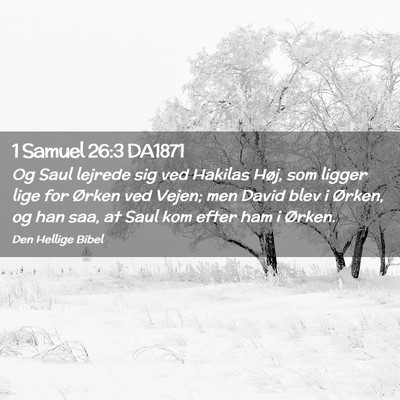 Picture 02 - 1 Samuel 26:3 DA1871 - Og Saul lejrede sig ved Hakilas Høj, som ligger - Bible Verse Picture