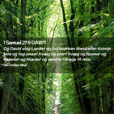 Picture 02 - 1 Samuel 27:9 DA1871 - Og David slog Landet og lod hverken Mand eller - Bible Verse Picture