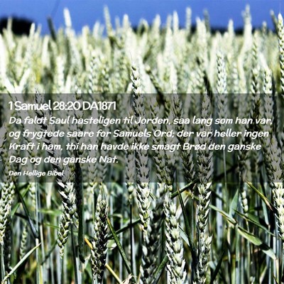 Picture 02 - 1 Samuel 28:20 DA1871 - Da faldt Saul hasteligen til Jorden, saa lang som - Bible Verse Picture