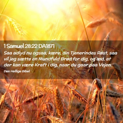 Picture 02 - 1 Samuel 28:22 DA1871 - Saa adlyd nu ogsaa, kære, din Tjenerindes Røst, - Bible Verse Picture