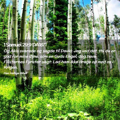 Picture 02 - 1 Samuel 29:9 DA1871 - Og Akis svarede og sagde til David: Jeg ved det, - Bible Verse Picture