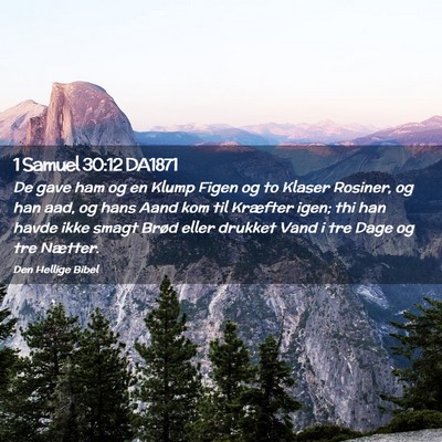 Picture 02 - 1 Samuel 30:12 DA1871 - De gave ham og en Klump Figen og to Klaser - Bible Verse Picture