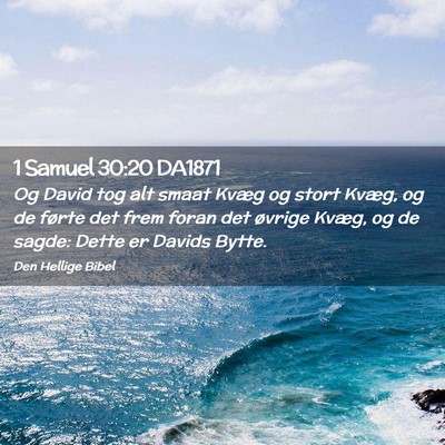 Picture 02 - 1 Samuel 30:20 DA1871 - Og David tog alt smaat Kvæg og stort Kvæg, og - Bible Verse Picture
