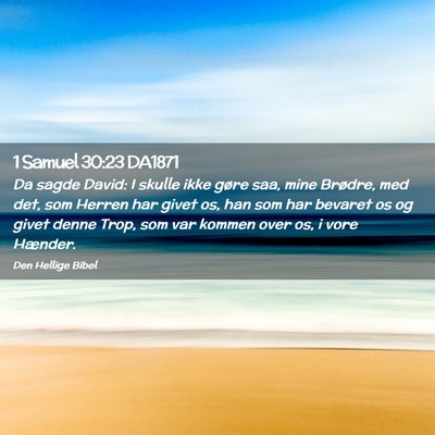 Picture 02 - 1 Samuel 30:23 DA1871 - Da sagde David: I skulle ikke gøre saa, mine - Bible Verse Picture
