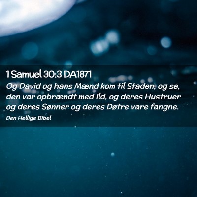 Picture 02 - 1 Samuel 30:3 DA1871 - Og David og hans Mænd kom til Staden, og se, den - Bible Verse Picture