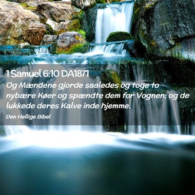 Picture 02 - 1 Samuel 6:10 DA1871 - Og Mændene gjorde saaledes og toge to nybære - Bible Verse Picture