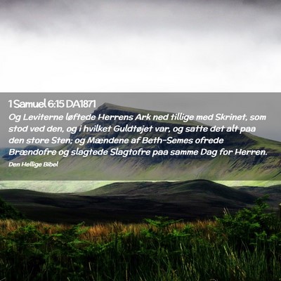 Picture 02 - 1 Samuel 6:15 DA1871 - Og Leviterne løftede Herrens Ark ned tillige med - Bible Verse Picture