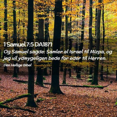Picture 02 - 1 Samuel 7:5 DA1871 - Og Samuel sagde: Samler al Israel til Mizpa, og - Bible Verse Picture