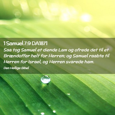 Picture 02 - 1 Samuel 7:9 DA1871 - Saa tog Samuel et diende Lam og ofrede det til et - Bible Verse Picture