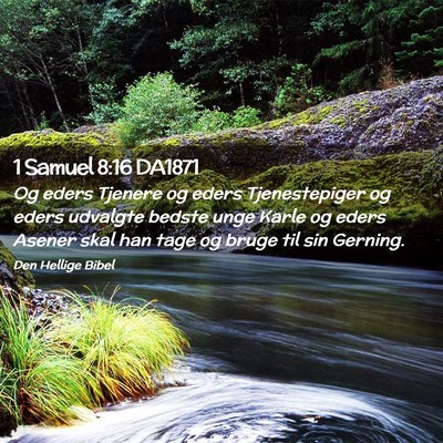Picture 02 - 1 Samuel 8:16 DA1871 - Og eders Tjenere og eders Tjenestepiger og eders - Bible Verse Picture