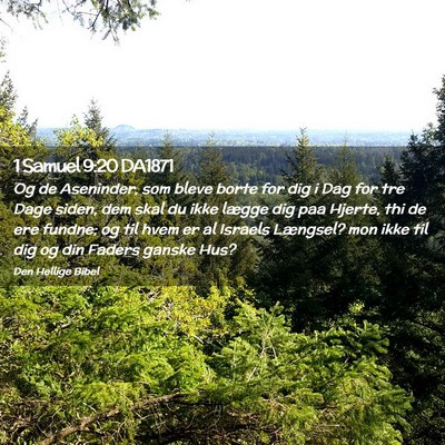 Picture 02 - 1 Samuel 9:20 DA1871 - Og de Aseninder, som bleve borte for dig i Dag - Bible Verse Picture