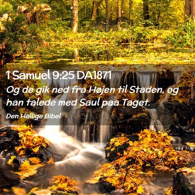 Picture 02 - 1 Samuel 9:25 DA1871 - Og de gik ned fra Højen til Staden, og han - Bible Verse Picture