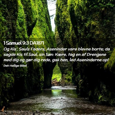 Picture 02 - 1 Samuel 9:3 DA1871 - Og Kis', Sauls Faders, Aseninder vare blevne - Bible Verse Picture