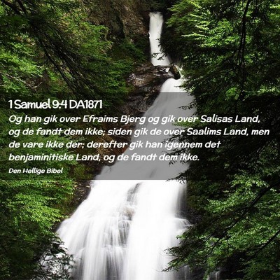 Picture 02 - 1 Samuel 9:4 DA1871 - Og han gik over Efraims Bjerg og gik over Salisas - Bible Verse Picture