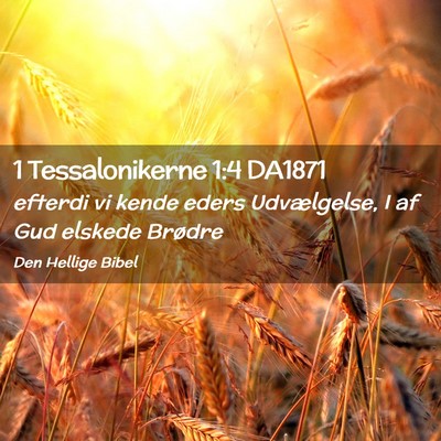 Picture 02 - 1 Tessalonikerne 1:4 DA1871 - efterdi vi kende eders Udvælgelse, I af Gud - Bible Verse Picture