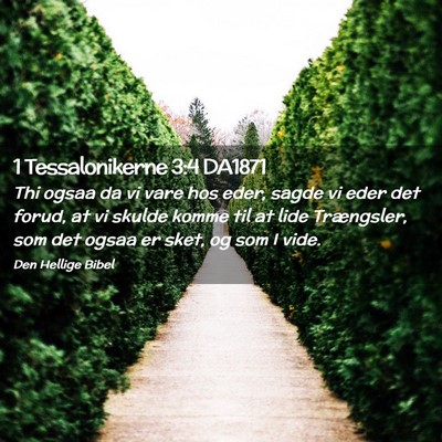 Picture 02 - 1 Tessalonikerne 3:4 DA1871 - Thi ogsaa da vi vare hos eder, sagde vi eder det - Bible Verse Picture