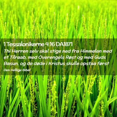Picture 02 - 1 Tessalonikerne 4:16 DA1871 - Thi Herren selv skal stige ned fra Himmelen med - Bible Verse Picture
